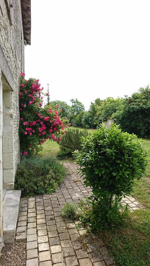 Villa L'Olivier Monts-sur-Guesnes Exterior foto